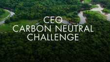 The challenge calls for businesses to invest in “nature-based solutions” such as enhancing biodiversity and reforestation to act as carbon sinks